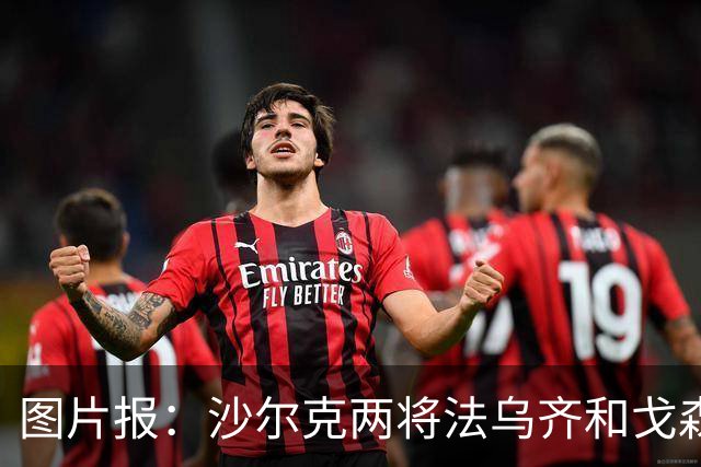 图片报：沙尔克两将法乌齐&戈森斯严重撞伤，将缺席杯赛