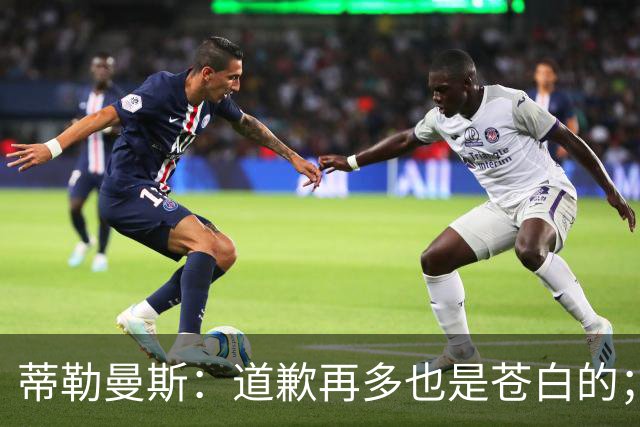 蒂勒曼斯：道歉再多也是苍白的；我们几乎所有环节都脱节了